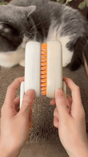 Cepillo a vapor para mascotas - efecto wow quitando pelo